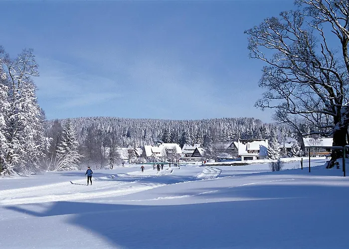 Drei Tannen - Wohnung 09 - Apartmenthaus, Titisee, Feldberg